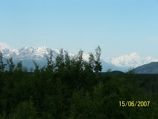 Veiw out the back door at Homestead