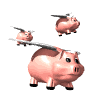 pig_group_fly_md_wht
