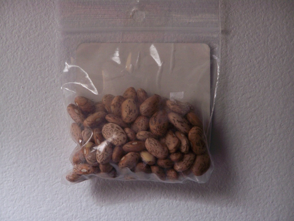 [100_912011.jpg]