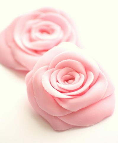 [roses7[5].jpg]