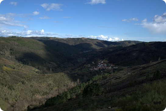 IMG_6036 IMG_6036