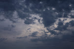 IMG_0388.JPG