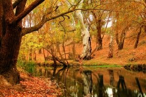 [Autumn in VA[5].jpg]