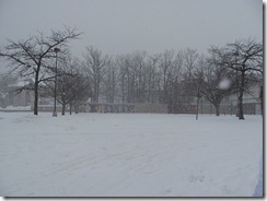 snow pic parking lot