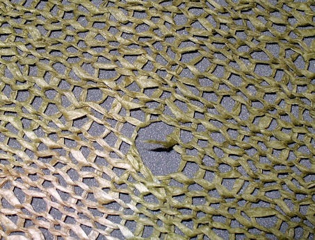 [Papyrine_hole[3].jpg]