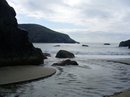 [Harris Beach[3].jpg]