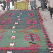 DSC00141.JPG