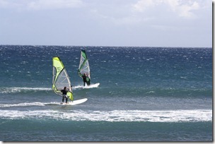 IMG_1029 IMG_1029