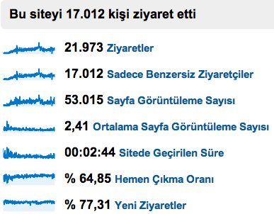 italyam.com 2009 Ziyaretci Istatistigi