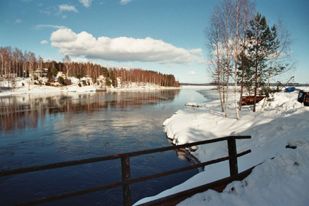winter auf barsch und forelle lachsforelle nysäter