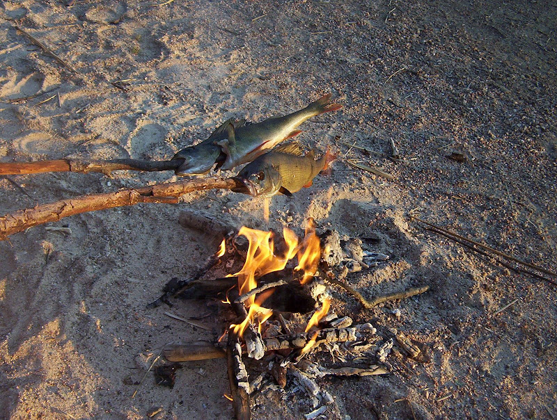 feuer unterm barsch svanskoog eisangeln auf barsch und forelle haus pipi