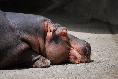 They took away my food
