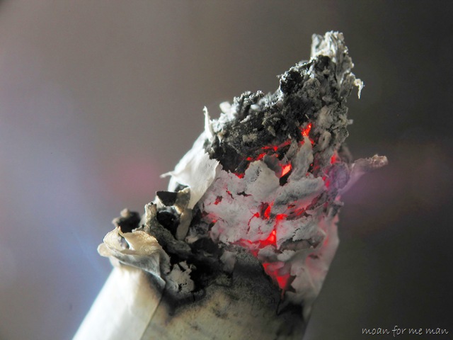 [Cigarette_ash[11].jpg]