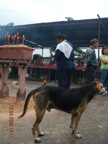 [DSCN28441.jpg]