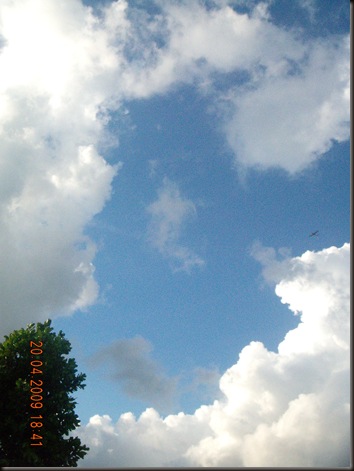 DSCN3128