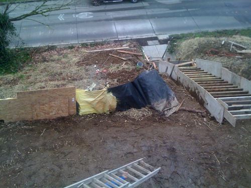 Picture 002