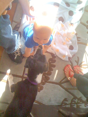 baby2
