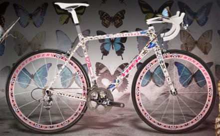 [expensive-bicycle-butterfly-hirst[3].jpg]