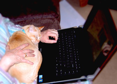 New-computer-accessory: awatson-will