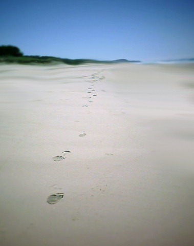 untitled-(footprints): a.watson-will