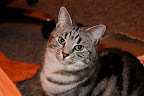 IMG_0013.JPG