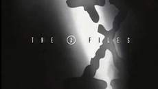 [Thexfiles[3].jpg]