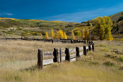 mcclure corral
