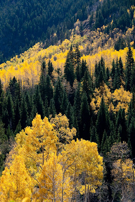 castle rock rd view