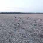 100_0170.JPG