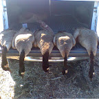 02-15-09_1114.jpg
