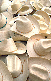 MercadosDeMexicoJPGLow