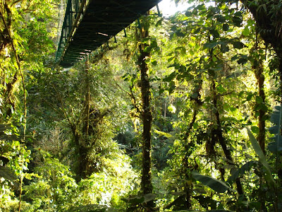 The underside of one of the suspension bridges.