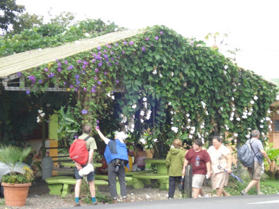 We broke for lunch in the town of La Fortuna.  Just a few shots of the town here.