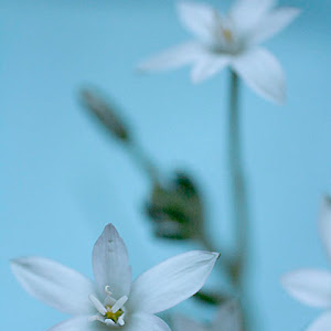 Photo Selection - 20101223