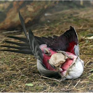 Photo Selection - 20110112