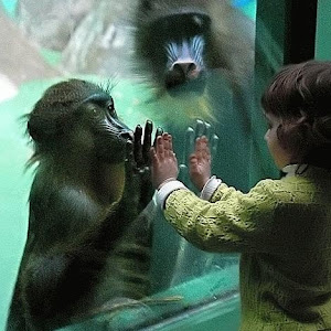 Photo Selection - 20110103