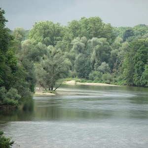 Photo Selection 0 20110105
