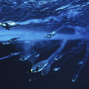 Photo Selection - 20110125