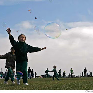 Photo Selection - 20110117