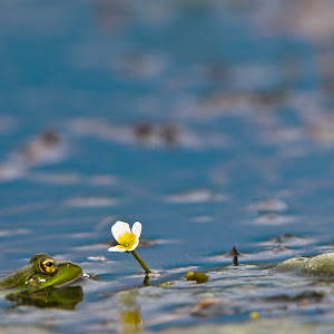 Photo Selection - 20110206