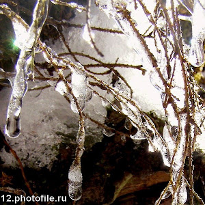 Photo Selection - 20110126