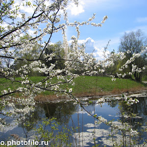 Photo Selection - 20110126