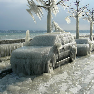 Photo Selection - 20110126