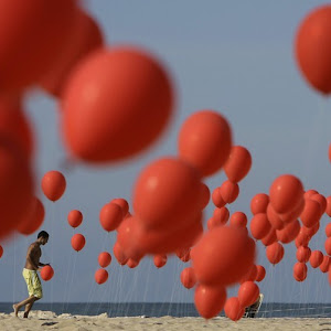 Photo Selection - 20110128