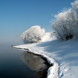 Photo Selection - 20110201