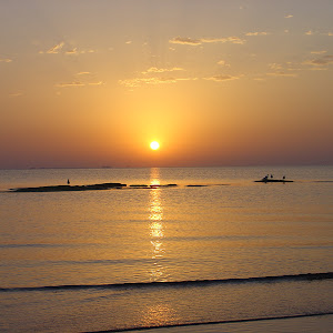 Photo Selection - 20110226