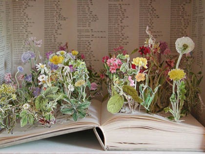 book_art_005