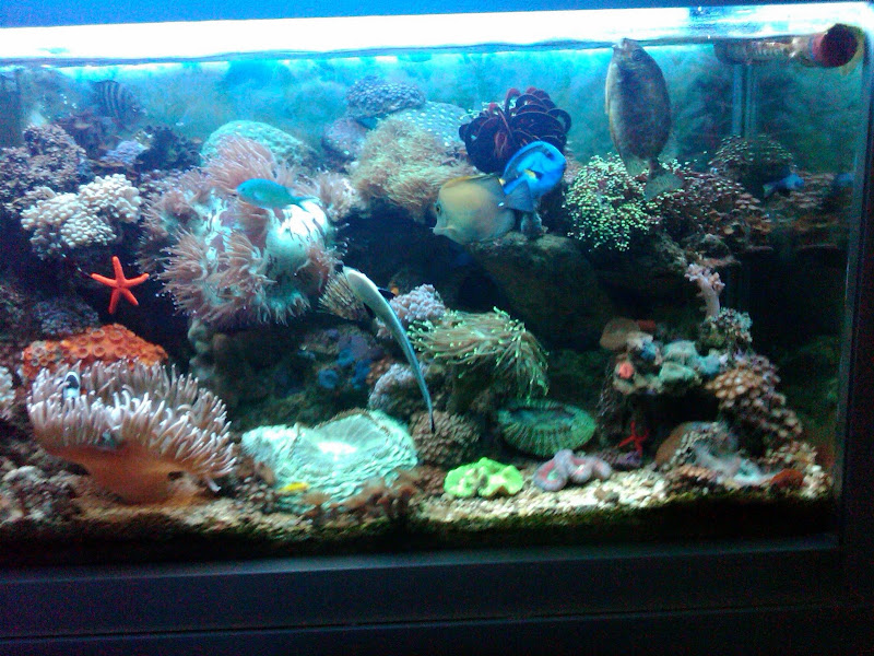 IMG00422-20101204-2026.jpg