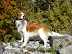 Kopie von P1010240.jpg