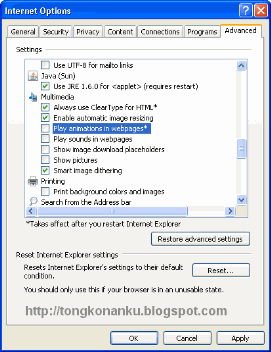 Multimedia-setting-internet-explorer Multimedia-setting-internet-explorer